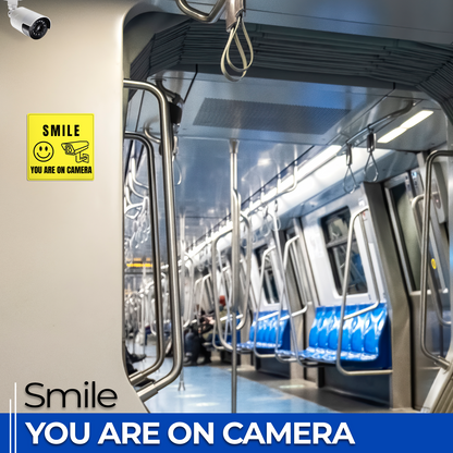 Smile You Are On Camera - 6-Pack Individually Cut Stickers - 6”x6”